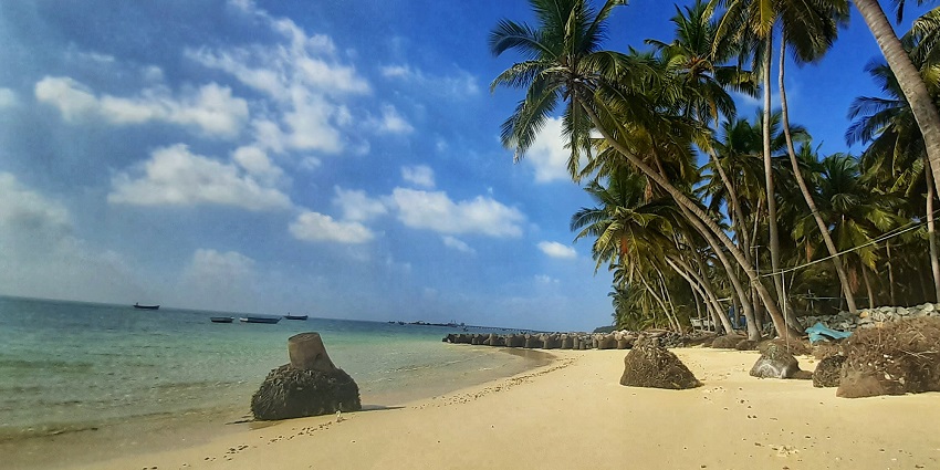 The beautiful view of a palm-lined beach with golden sand at the Lakshadweep island.