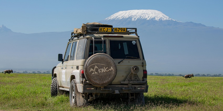 Things to do in Bheemeshwari include a wildlife safari, surrounded by dense forest.