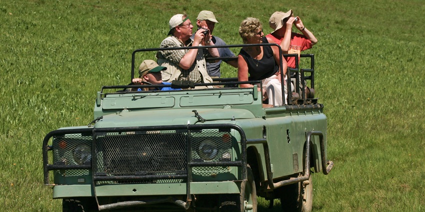 The best adventure sports in Ooty include hiking through dense forests and natural trails