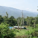 Image of the beautiful views of the Elephant camp at the Mudumalai Tiger Reserve