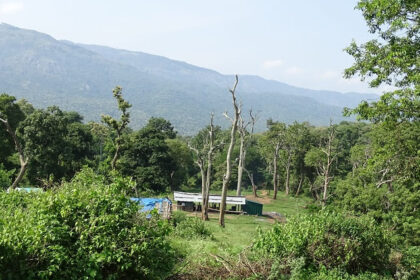 Image of the beautiful views of the Elephant camp at the Mudumalai Tiger Reserve