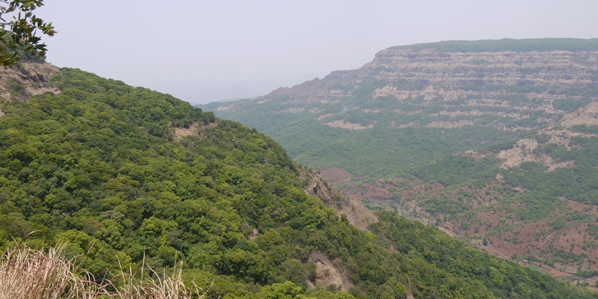 Scenic view from Lodwick Point with hills, valleys, and lush greenery.