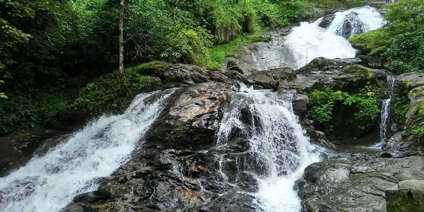 Witness the majestic Iruppu Falls, one of the best things to do in Madikeri, Karnataka.