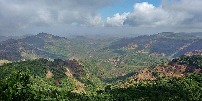 Dense forest of Radhanagari Wildlife Sanctuary, adventurous things to do in Kolhapur.