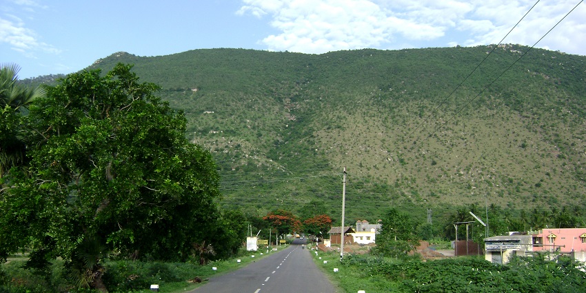 A picture, capturing the misty view of Yelagiri hills with serene greenery and calmness.