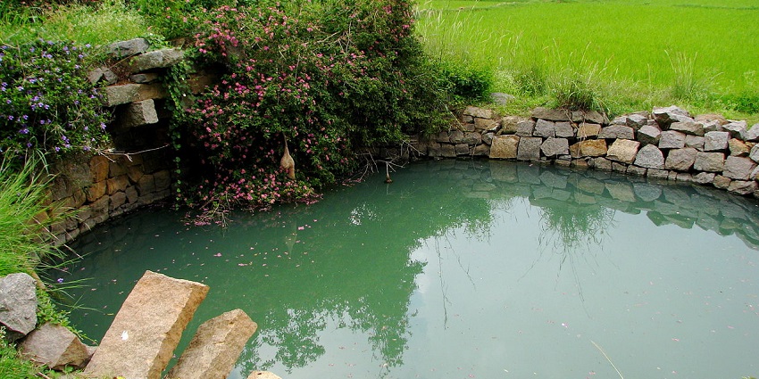 Hill station known for its pleasant climate and adventure activities is Yelagiri Hills.