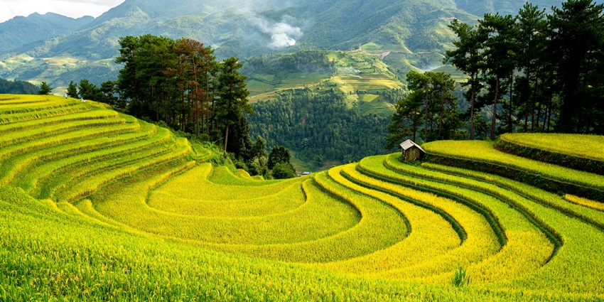 An image of Yelagiri Hills, a peaceful hill station near Chennai with green landscapes.