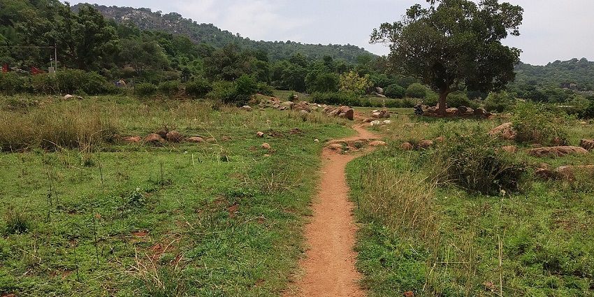 Moderate treks in Tamil Nadu with captivating landscapes and serene surroundings.