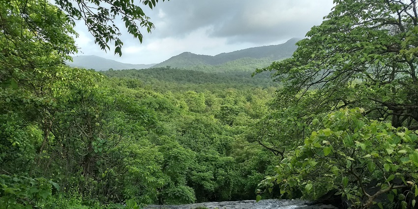 Yeoor Hills offers tranquil trails, ideal for hiking and birdwatching in lush forests