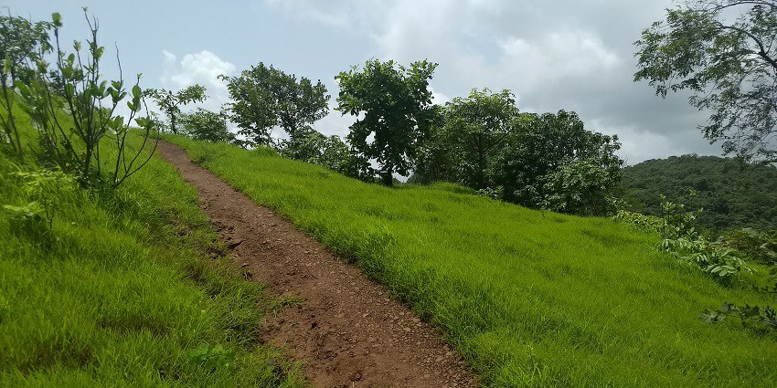 View of Yeoor Hills with trees, a popular tourist destination near Suraj Water park Thane.