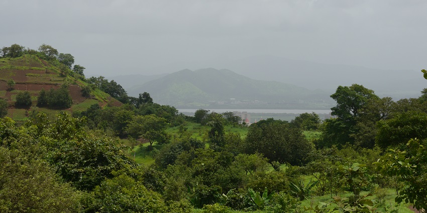 A picture of misty Yeoor Hills, where ghostly encounters have been reported by trekkers.