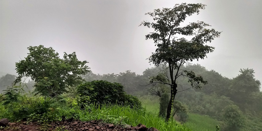 A scenic view of Yeoor Hills with dense greenery, misty skies, and rolling hills in the distance.