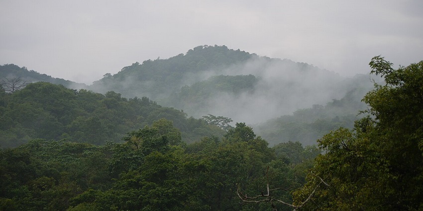 A fog-covered lush green Yeoor Hills in Thane District, Northwestern Maharashtra.