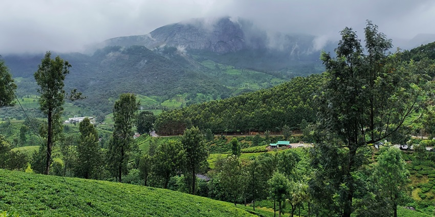 Scenie view of the Yeoor hills, dense forests and meadows spanning across the hills