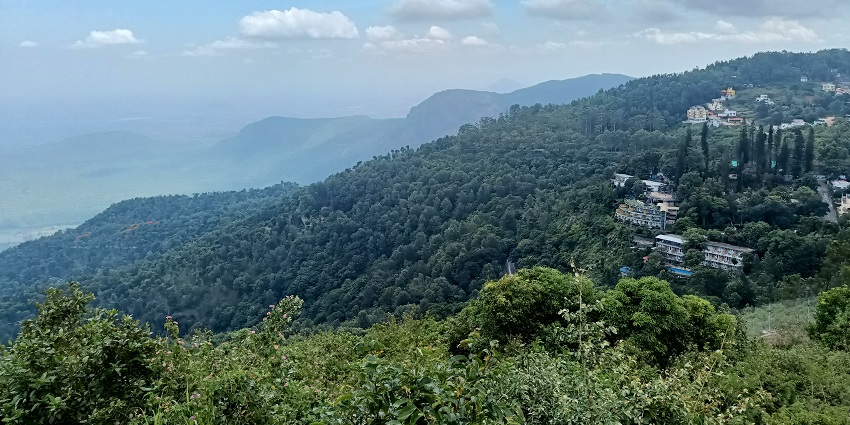 Image of Yercaud beauty surrounded by lush greenery during day time and clear blue sky
