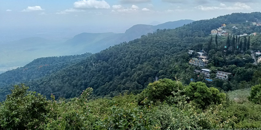 A picture of the scenic hills in Yercaud with a thick blanket of greenery all around the place