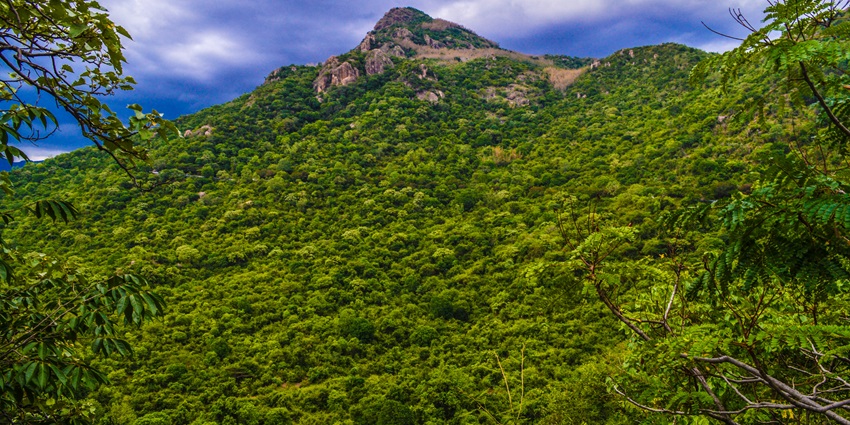 Yercaud is a beautiful hill station town, perfect for a relaxing retreat in nature.