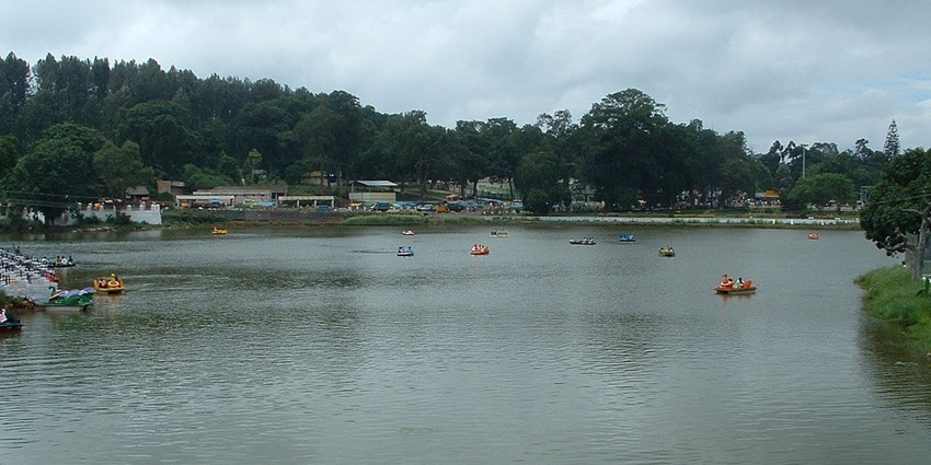 Scenic hill station featuring coffee plantations and panoramic views.
