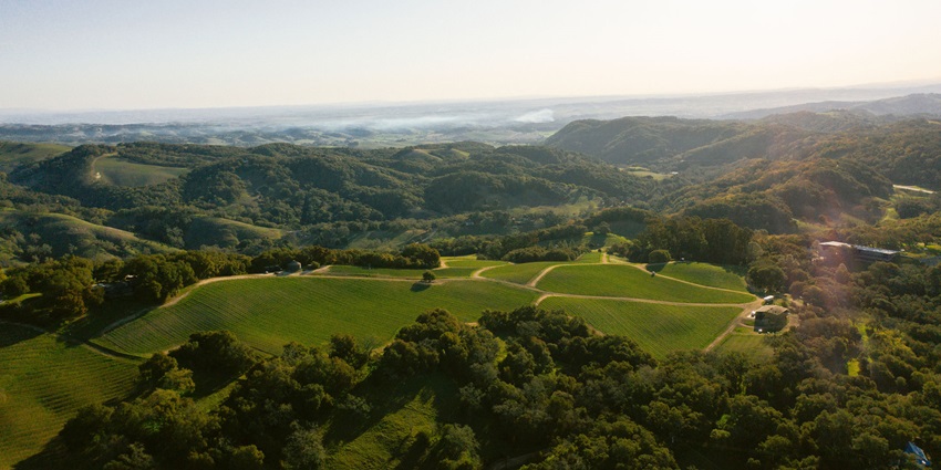 Aerial view of Wine's York Mountain Vineyard from top of a hill surrounded by lush greenery