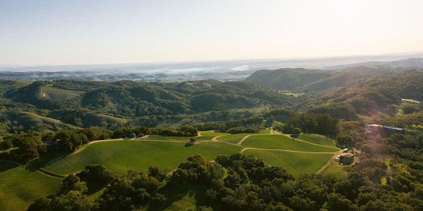 York Winery offers exquisite wines, scenic views, and memorable experiences.