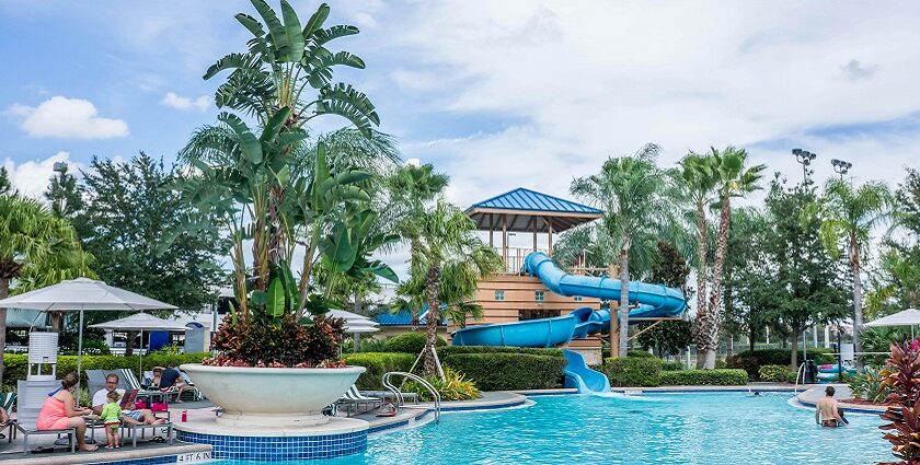 Group of people enjoying a sunny day by the swimming pool, surrounded by palm trees