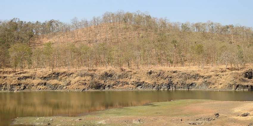 Tansa Wildlife Sanctuary: wildlife haven, birdwatching - places to visit in Kalyan