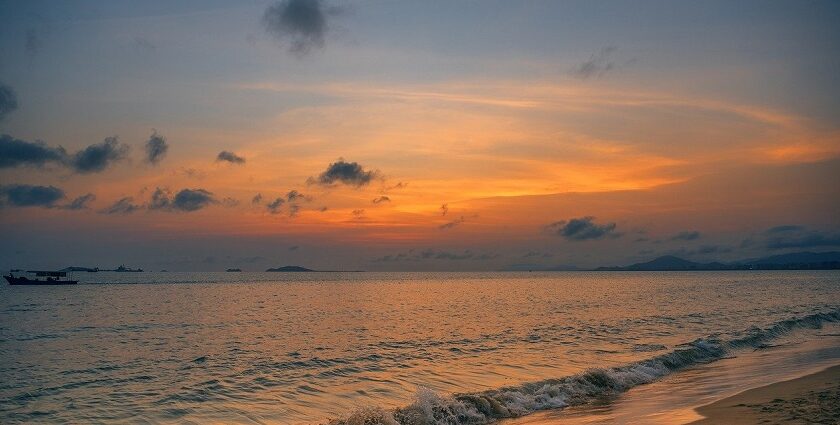 An image of a beach in Vasai, which is situated in the north part of Mumbai, India