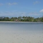 A stunning view of Bintan Island's beaches featuring clear waters and palm trees