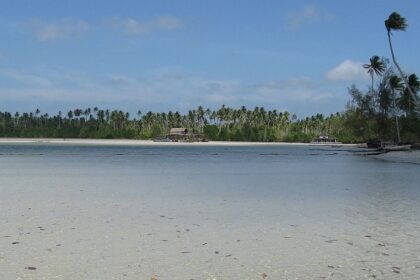 A stunning view of Bintan Island's beaches featuring clear waters and palm trees