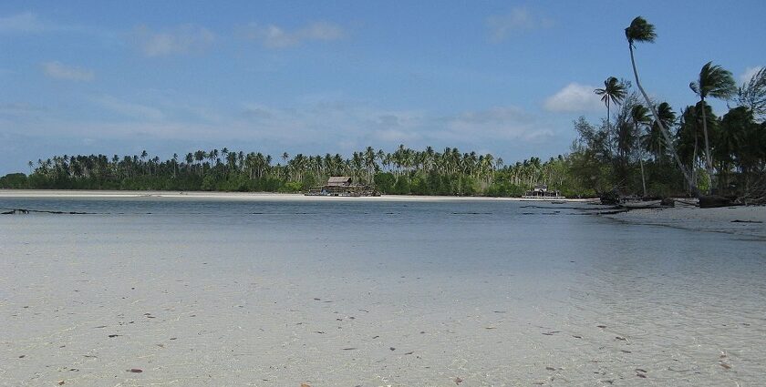 A stunning view of Bintan Island's beaches featuring clear waters and palm trees