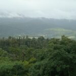 Mist-covered hills, a must-see among places to visit near Chikmagalur