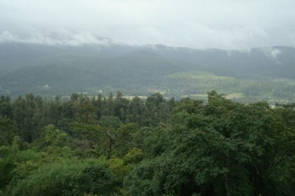 Mist-covered hills, a must-see among places to visit near Chikmagalur