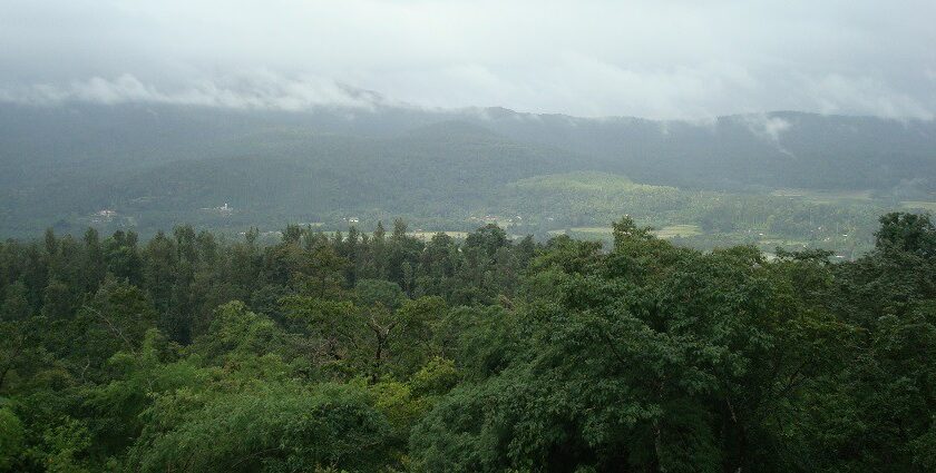 Mist-covered hills, a must-see among places to visit near Chikmagalur