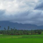 Picturesque view of the lush landscapes of Ponmudi, one of the famous hill stations near Nagercoil