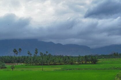 Picturesque view of the lush landscapes of Ponmudi, one of the famous hill stations near Nagercoil