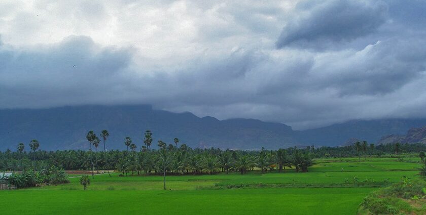 Picturesque view of the lush landscapes of Ponmudi, one of the famous hill stations near Nagercoil