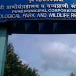 Inviting entrance view of Katraj Zoo and Wildlife Research Centre, a must-visit in Katraj.