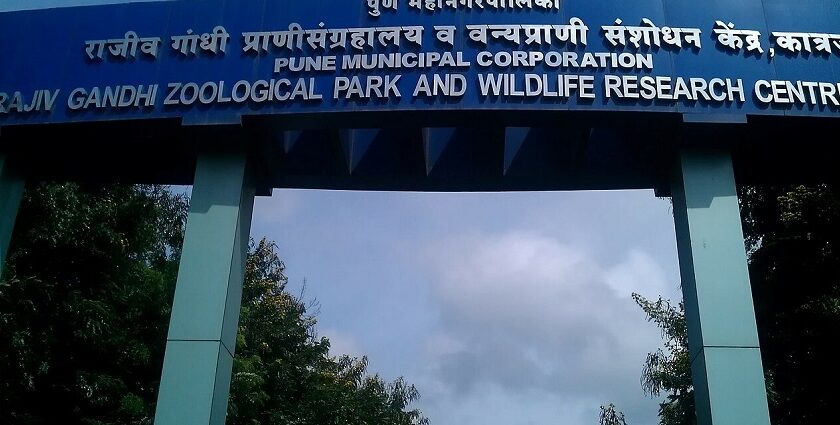 Inviting entrance view of Katraj Zoo and Wildlife Research Centre, a must-visit in Katraj.