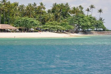 An image of Lombok Island showcasing its scenic palm-lined beaches and lush landscapes.