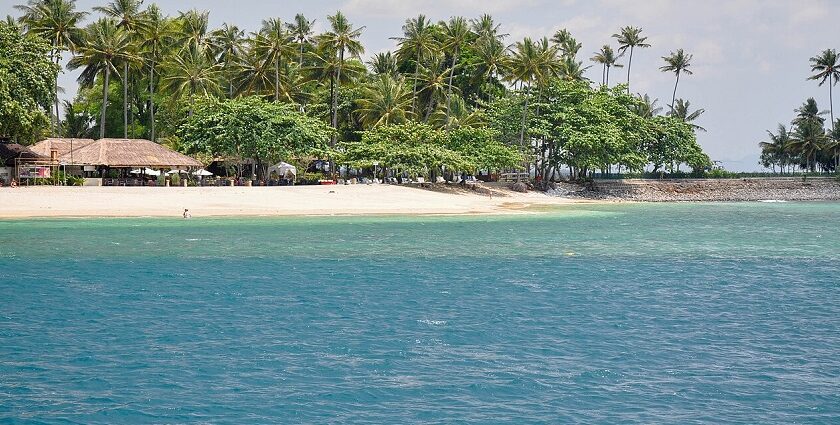 An image of Lombok Island showcasing its scenic palm-lined beaches and lush landscapes.