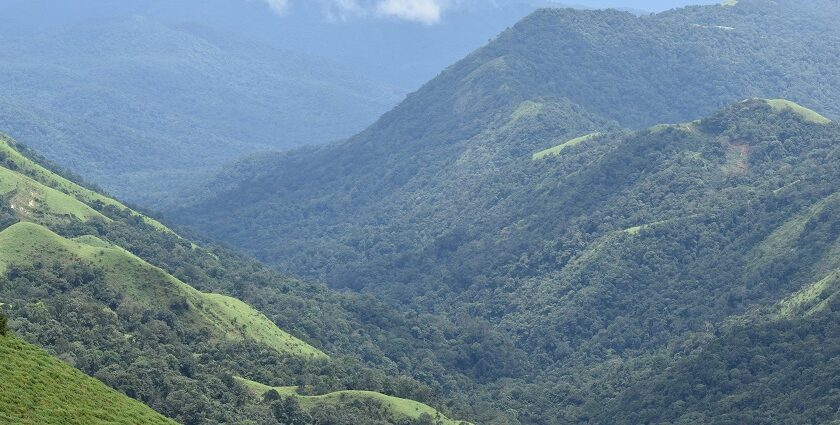 Places to visit in Chikmagalur's picturesque hill station with coffee plantations and stunning landscapes