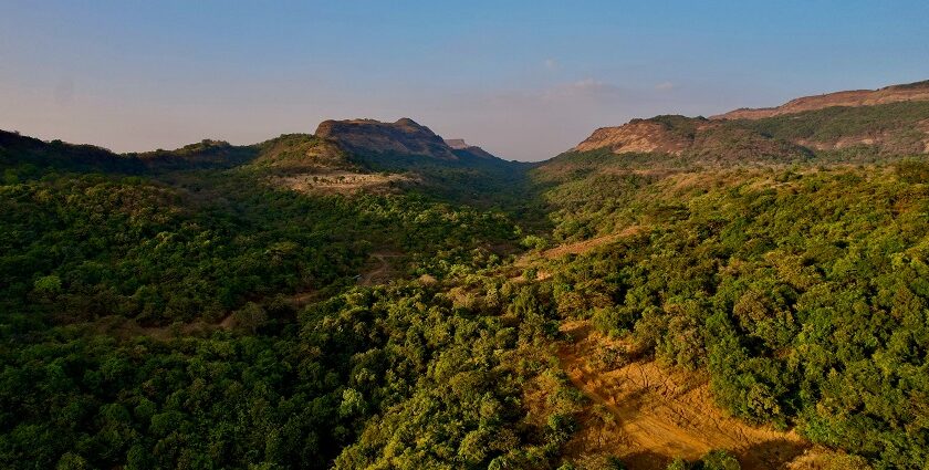 A bird’s eye view of the lush green vegetation and majestic peaks of the serene Khandala.