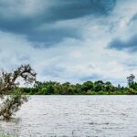 A breathtaking view of a sparkling lake, one of the best places to visit around Bangalore.