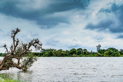 A breathtaking view of a sparkling lake, one of the best places to visit around Bangalore.