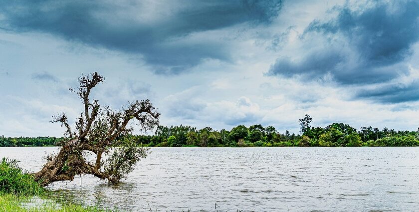 A breathtaking view of a sparkling lake, one of the best places to visit around Bangalore.