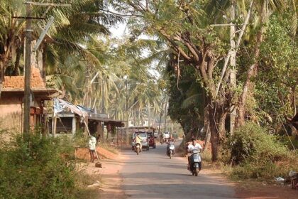 A picture of a street in Goa with palm trees all around