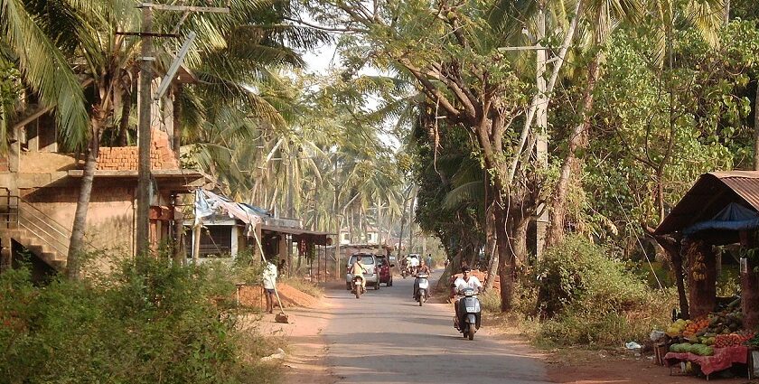 A picture of a street in Goa with palm trees all around