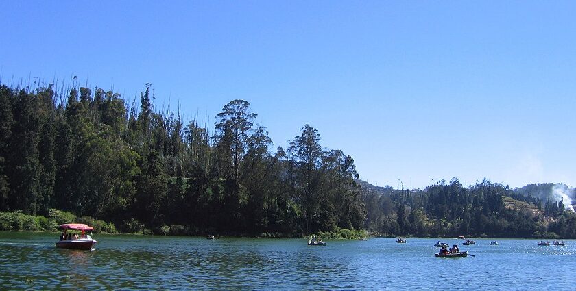 Places to visit near Ooty offer stunning views and lush gardens.