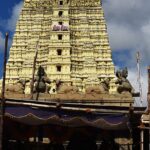 A view of the Ramanathaswamy Temple in Tamil Nadu, showcasing its beautiful architecture.