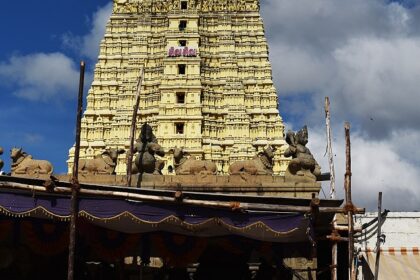 A view of the Ramanathaswamy Temple in Tamil Nadu, showcasing its beautiful architecture.